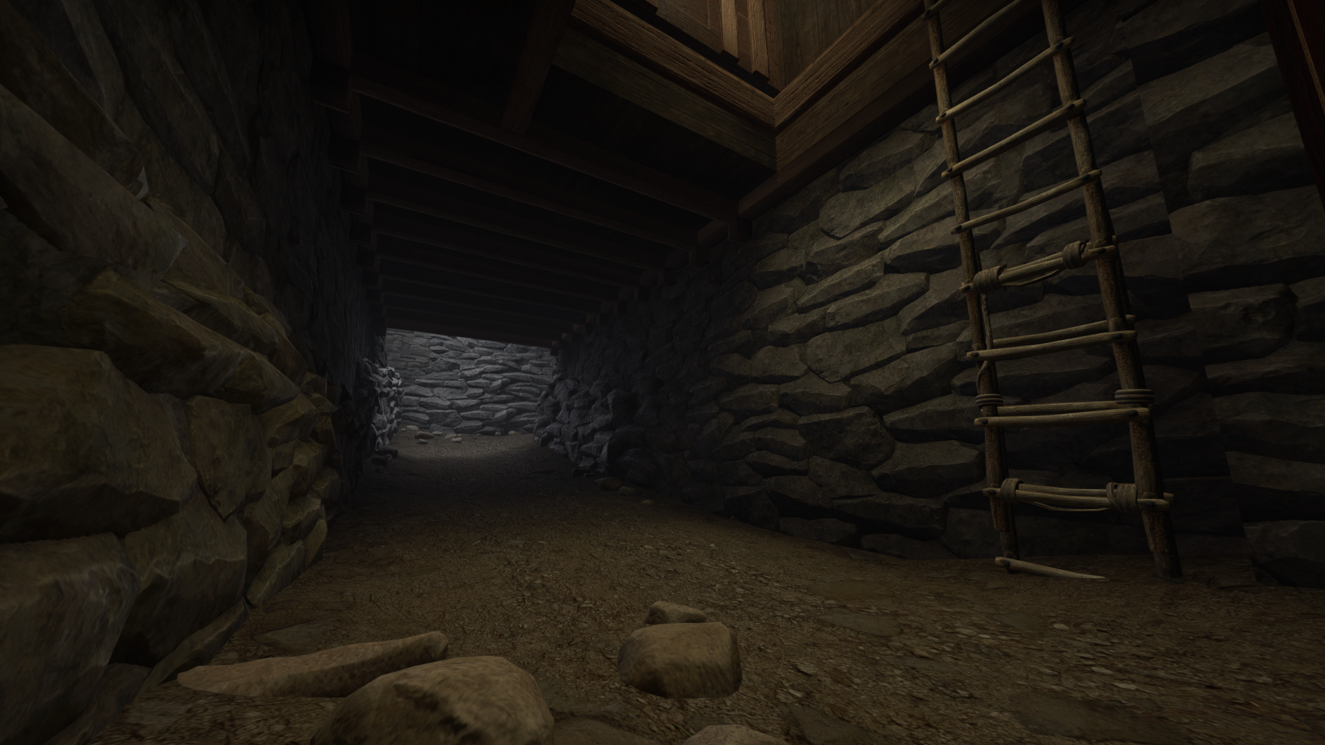 Dark stone tunnel with a wooden ladder leaning against the wall